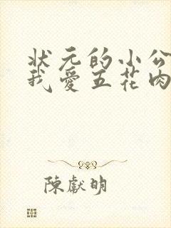 状元的小公主(我爱五花肉)封面