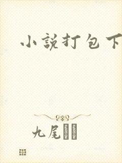 小说打包下载