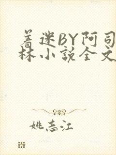 着迷BY阿司匹林小说全文免费阅读