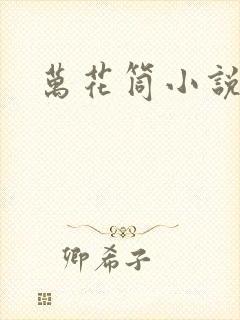 万花筒小说封面