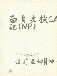 白月光挨CAO记(NP)封面