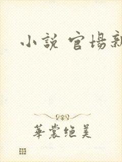 小说 官场新贵封面