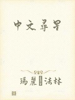 中文寻星封面