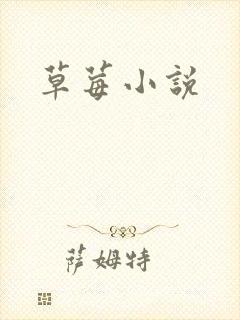草莓小说封面