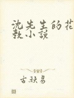 沈先生的花式管教小说封面
