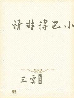 情非得已小说