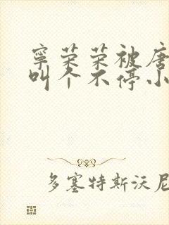 宁荣荣被唐三桶叫个不停小说