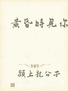黄昏时见你封面