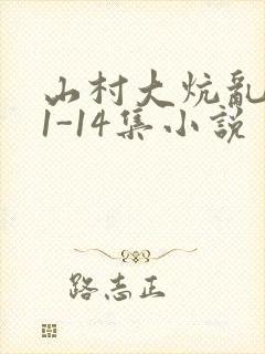 山村大炕乱肉续1-14集小说封面
