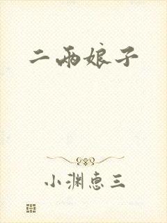 二两娘子封面