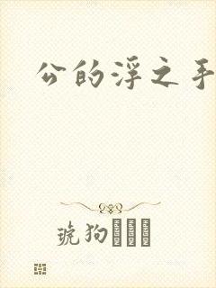 公的浮之手中字