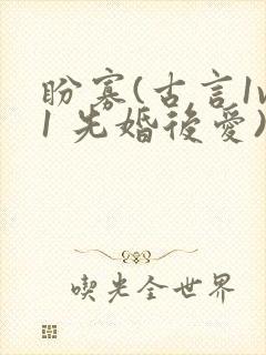 盼寡(古言1v1 先婚后爱)荔枝好多