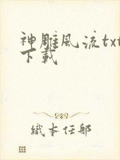 神雕风流txt下载