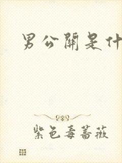男公关是什么