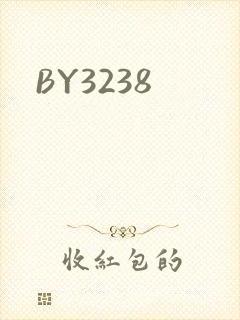 BY3238封面