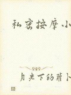 私密按摩小说