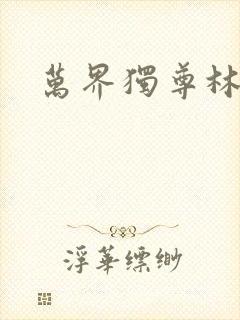 万界独尊林枫封面