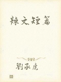 辣文短篇