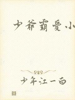 少爷霸爱小丫头