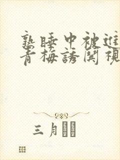 熟睡中被进了H青梅诱哄视频封面