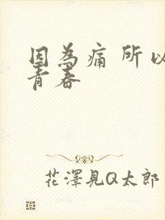 因为痛 所以叫青春