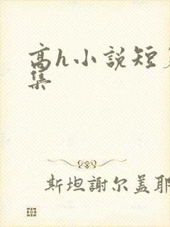 高h小说短篇合集