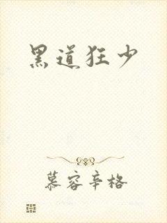 黑道狂少封面