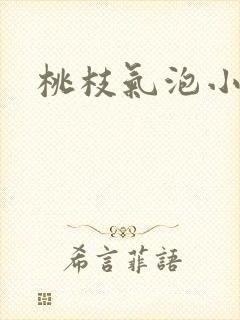 桃枝气泡小说