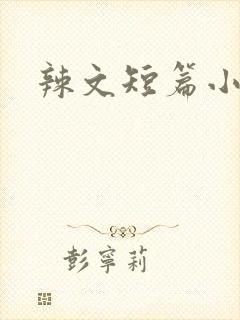 辣文短篇小说封面