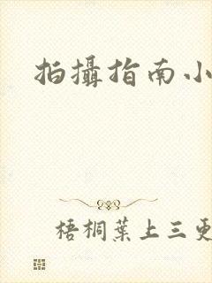 拍摄指南小说