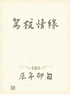 驾校情缘
