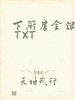 下厨房金银花露 TXT
