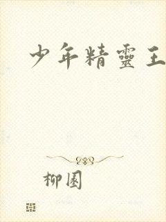 少年精灵王封面