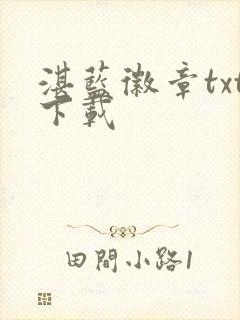 湛蓝徽章txt下载封面