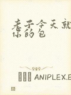 老子今天就要开你的包