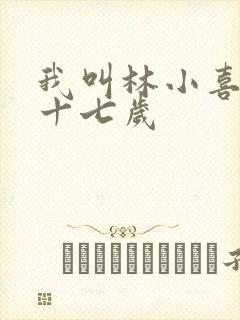 我叫林小喜今年十七岁封面