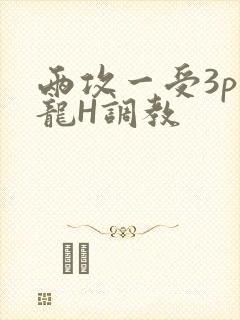 两攻一受3p双龙H调教