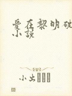 爱在黎明破晓前小说封面