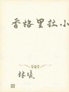 香格里拉小说封面