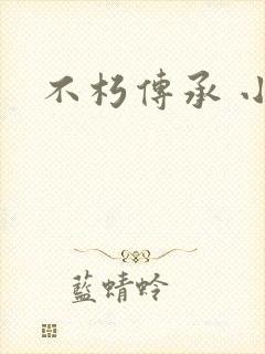 不朽传承 小说封面