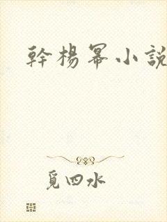 干杨幂小说