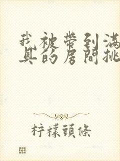 我被带到满是玩具的房间挑调游戏