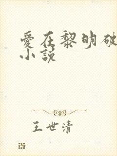 爱在黎明破晓前小说