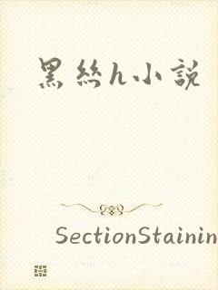 黑丝h小说