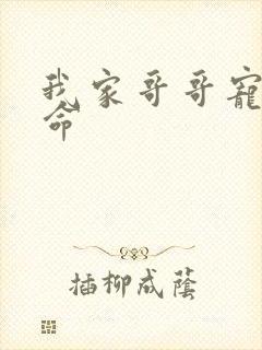 我家哥哥宠妹如命封面