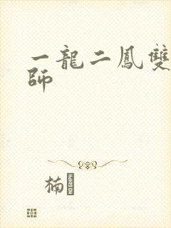 一龙二凤双飞老师封面