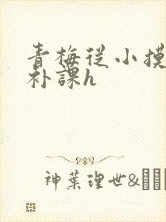青梅从小摸到大补课h