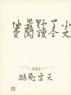 书籍封面
