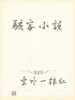 骇客小说