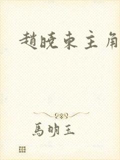 赵晓东主角小说封面